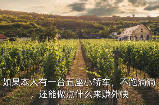 如果本人有一臺五座小轎車，不跑滴滴，還能做點什么來賺外快