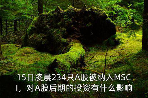 15日凌晨234只A股被納入MSCI，對A股后期的投資有什么影響