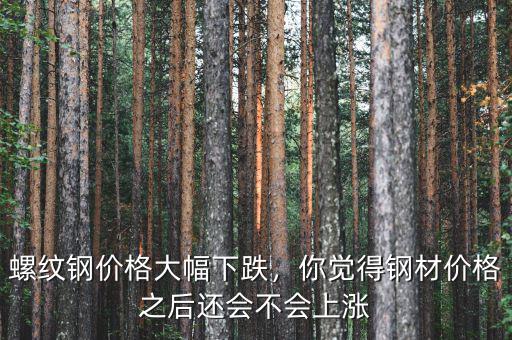 螺紋鋼價格大幅下跌，你覺得鋼材價格之后還會不會上漲