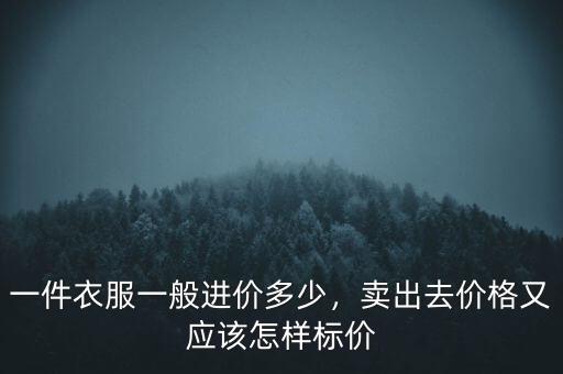 一件衣服一般進價多少，賣出去價格又應(yīng)該怎樣標價