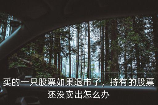 買(mǎi)的一只股票如果退市了，持有的股票還沒(méi)賣(mài)出怎么辦