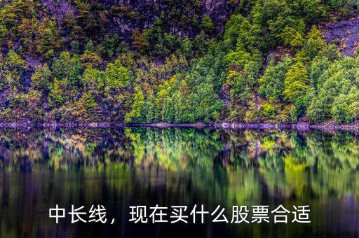 中長線，現(xiàn)在買什么股票合適