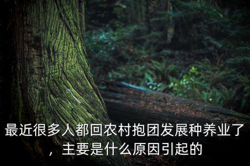 最近很多人都回農(nóng)村抱團(tuán)發(fā)展種養(yǎng)業(yè)了，主要是什么原因引起的