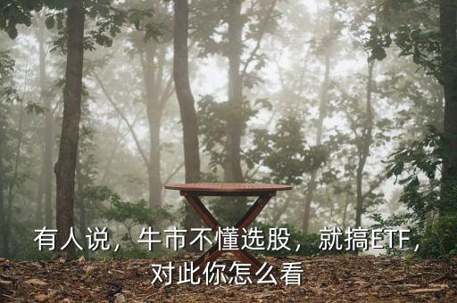 有人說，牛市不懂選股，就搞ETF，對此你怎么看