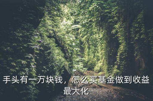 手頭有一萬(wàn)塊錢，怎么買基金做到收益最大化