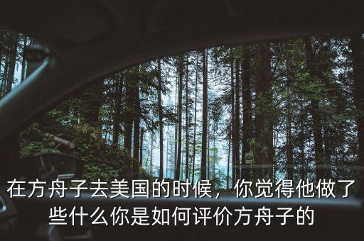 在方舟子去美國的時候，你覺得他做了些什么你是如何評價方舟子的