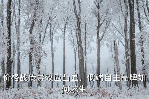 價(jià)格戰(zhàn)傳導(dǎo)效應(yīng)凸顯，低端自主品牌如何求生