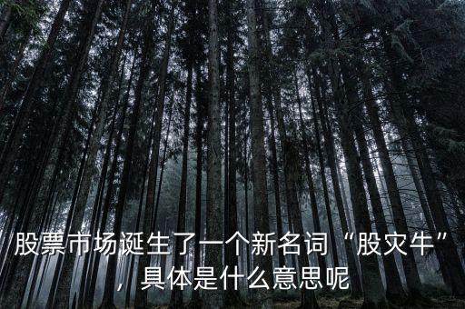 股票市場誕生了一個新名詞“股災(zāi)?！保唧w是什么意思呢