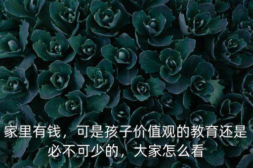 家里有錢(qián)，可是孩子價(jià)值觀的教育還是必不可少的，大家怎么看