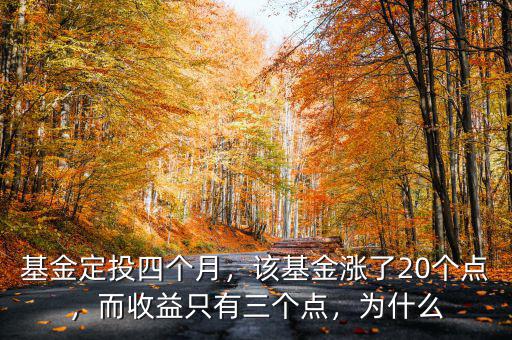 基金定投四個月，該基金漲了20個點，而收益只有三個點，為什么