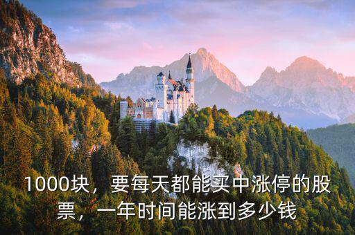 1000塊，要每天都能買中漲停的股票，一年時間能漲到多少錢