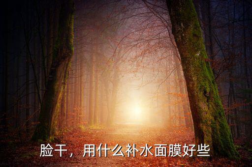 臉干，用什么補(bǔ)水面膜好些