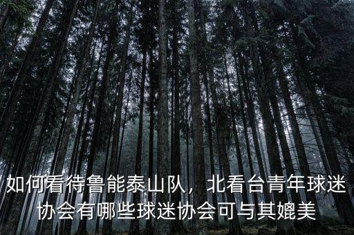 如何看待魯能泰山隊(duì)，北看臺(tái)青年球迷協(xié)會(huì)有哪些球迷協(xié)會(huì)可與其媲美