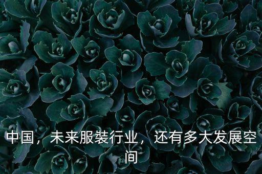 中國，未來服裝行業(yè)，還有多大發(fā)展空間