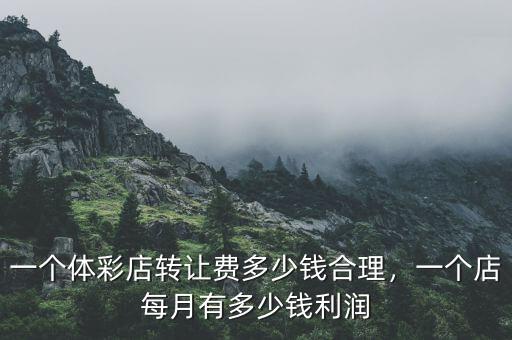 一個體彩店轉(zhuǎn)讓費多少錢合理，一個店每月有多少錢利潤