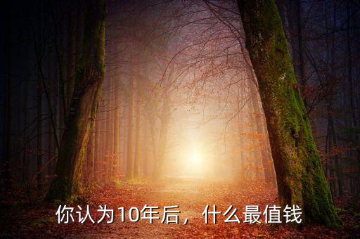 你認為10年后，什么最值錢
