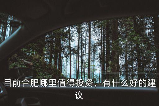 目前合肥哪里值得投資，有什么好的建議