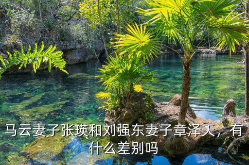 馬云妻子張瑛和劉強東妻子章澤天，有什么差別嗎