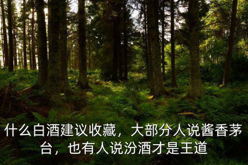 什么白酒建議收藏，大部分人說(shuō)醬香茅臺(tái)，也有人說(shuō)汾酒才是王道