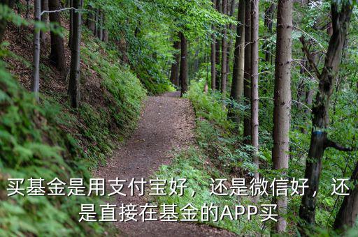 買基金是用支付寶好，還是微信好，還是直接在基金的APP買