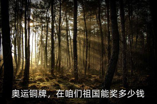 奧運(yùn)銅牌，在咱們祖國能獎(jiǎng)多少錢