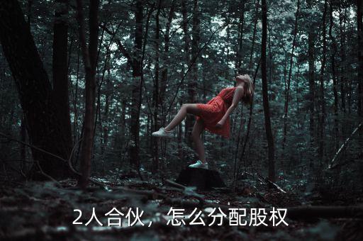 2人合伙，怎么分配股權(quán)