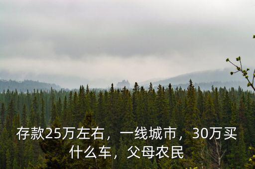 存款25萬左右，一線城市，30萬買什么車，父母農(nóng)民