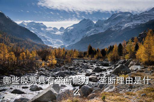 哪些股票具有壟斷能力，壟斷理由是什么