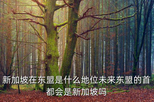 新加坡在東盟是什么地位未來(lái)東盟的首都會(huì)是新加坡嗎