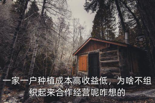 一家一戶種植成本高收益低，為啥不組織起來合作經(jīng)營呢咋想的