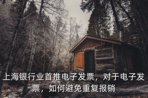 上海銀行業(yè)首推電子發(fā)票，對于電子發(fā)票，如何避免重復(fù)報銷