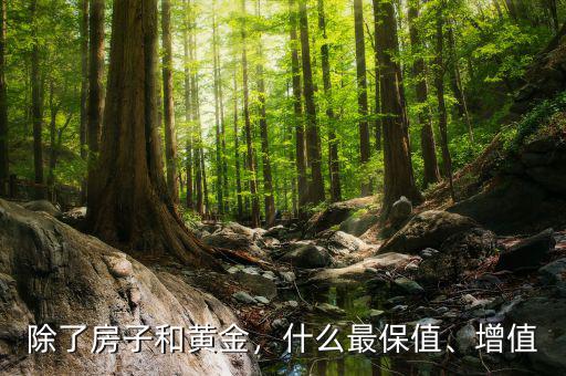 除了房子和黃金，什么最保值、增值