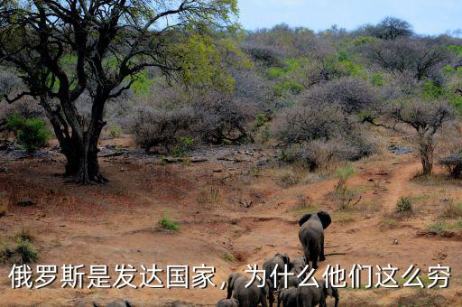 俄羅斯是發(fā)達國家，為什么他們這么窮