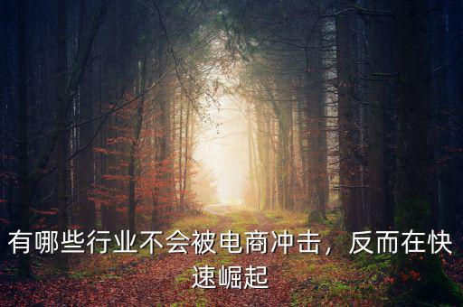 有哪些行業(yè)不會被電商沖擊，反而在快速崛起