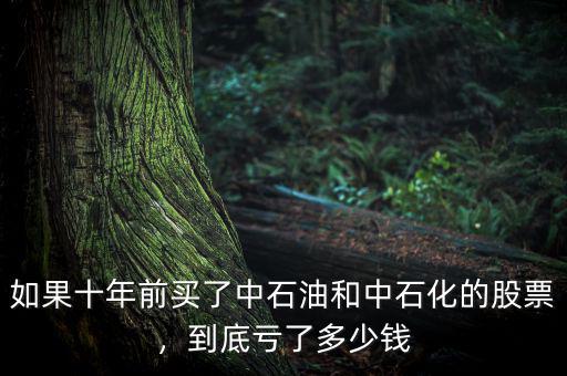 如果十年前買了中石油和中石化的股票，到底虧了多少錢
