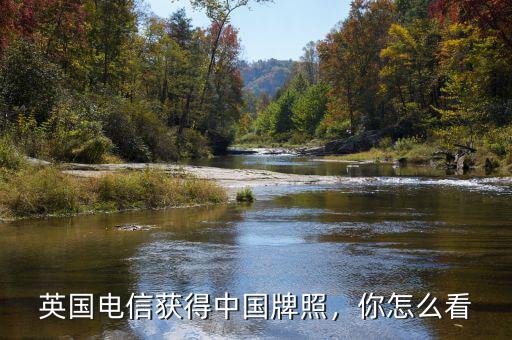 英國(guó)電信獲得中國(guó)牌照，你怎么看