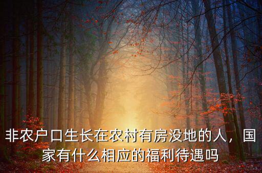 非農(nóng)戶(hù)口生長(zhǎng)在農(nóng)村有房沒(méi)地的人，國(guó)家有什么相應(yīng)的福利待遇嗎