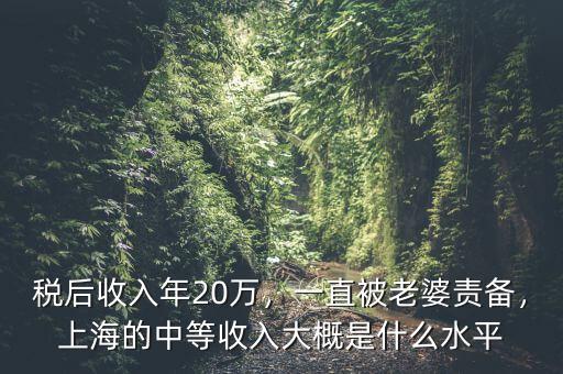稅后收入年20萬(wàn)，一直被老婆責(zé)備，上海的中等收入大概是什么水平