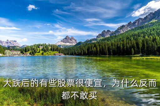 大跌后的有些股票很便宜，為什么反而都不敢買