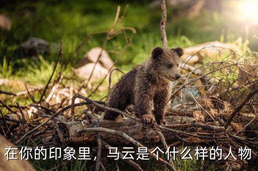 在你的印象里，馬云是個(gè)什么樣的人物