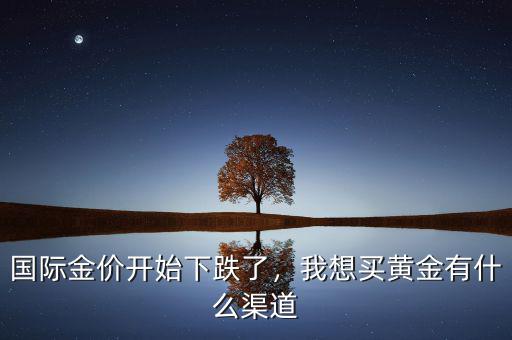 國(guó)際金價(jià)開始下跌了，我想買黃金有什么渠道