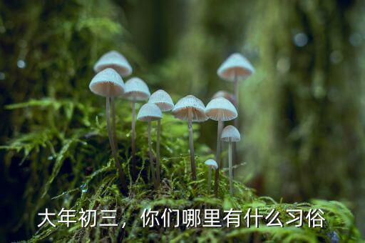 大年初三，你們哪里有什么習(xí)俗