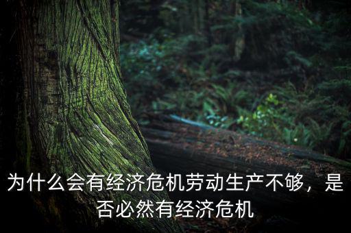 為什么會有經(jīng)濟危機勞動生產(chǎn)不夠，是否必然有經(jīng)濟危機