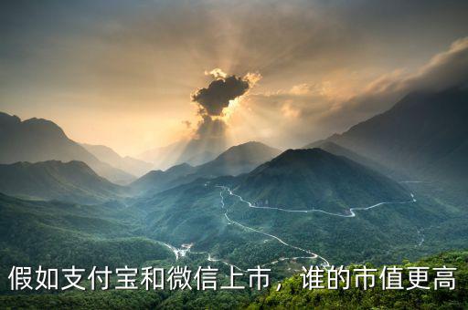 假如支付寶和微信上市，誰的市值更高