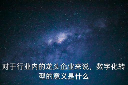 對(duì)于行業(yè)內(nèi)的龍頭企業(yè)來(lái)說(shuō)，數(shù)字化轉(zhuǎn)型的意義是什么