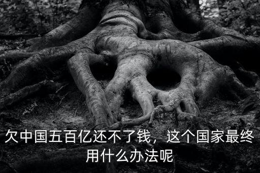 欠中國五百億還不了錢，這個國家最終用什么辦法呢
