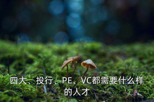 四大、投行、PE、VC都需要什么樣的人才