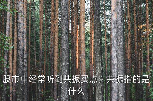 股市中經(jīng)常聽到共振買點，共振指的是什么