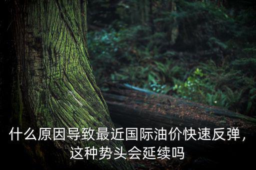 什么原因?qū)е伦罱鼑?guó)際油價(jià)快速反彈，這種勢(shì)頭會(huì)延續(xù)嗎
