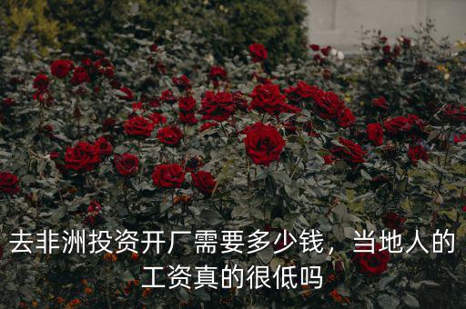 去非洲投資開廠需要多少錢，當(dāng)?shù)厝说墓べY真的很低嗎